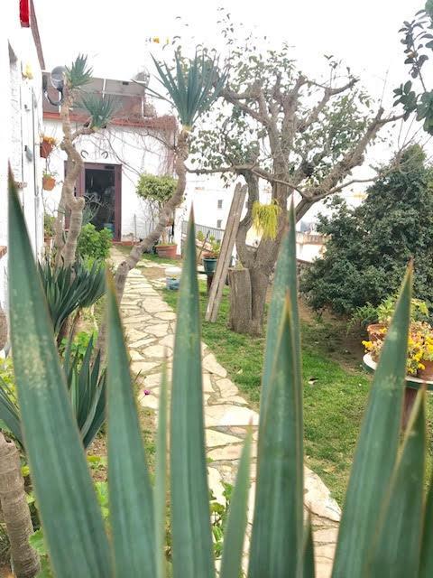 Hostal Casa Torrent Canet De Mar Ngoại thất bức ảnh